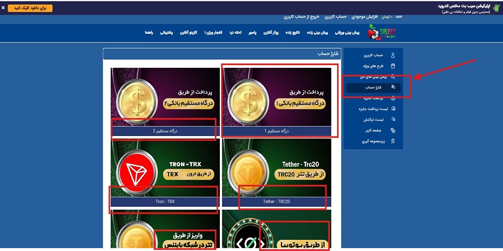 شارژ حساب در سایت سیب بت شارژ حساب در سایت سیب بت